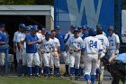 Baseball vs Babson  Wheaton College Baseball vs Babson during Championship game of the NEWMAC Championship hosted by Wheaton. - (Photo by Keith Nordstrom) : Wheaton, baseball, NEWMAC